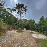 Chalé dos pássaros
