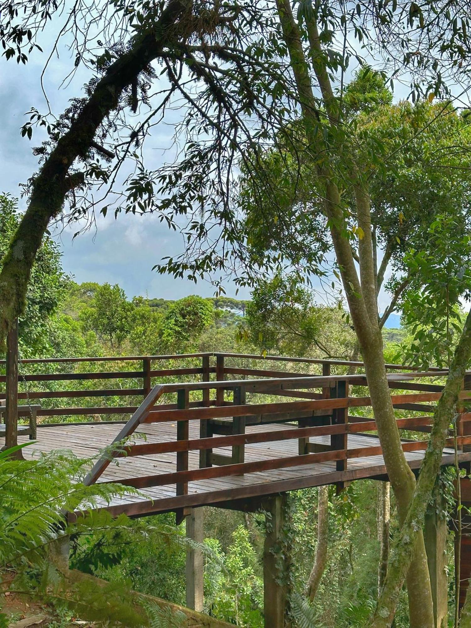 Chale Dos Passaros - Varanda Com Vista P/ Natureza Apartamento Campos do Jordão